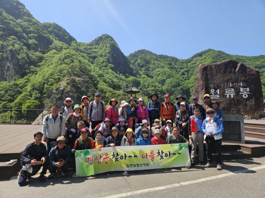 월류 사진 3