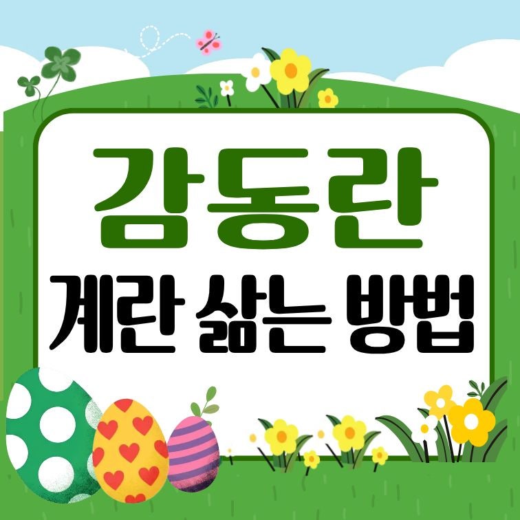 감동란 계란 삶는 법[촉촉한 반숙 황금시간]
