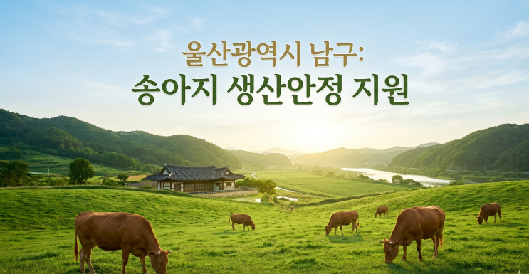  울산 남구 송아지 생산안정 지원, 한우 농가 경쟁력 높이는 방법