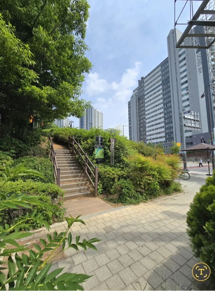 풍경채 사진 3