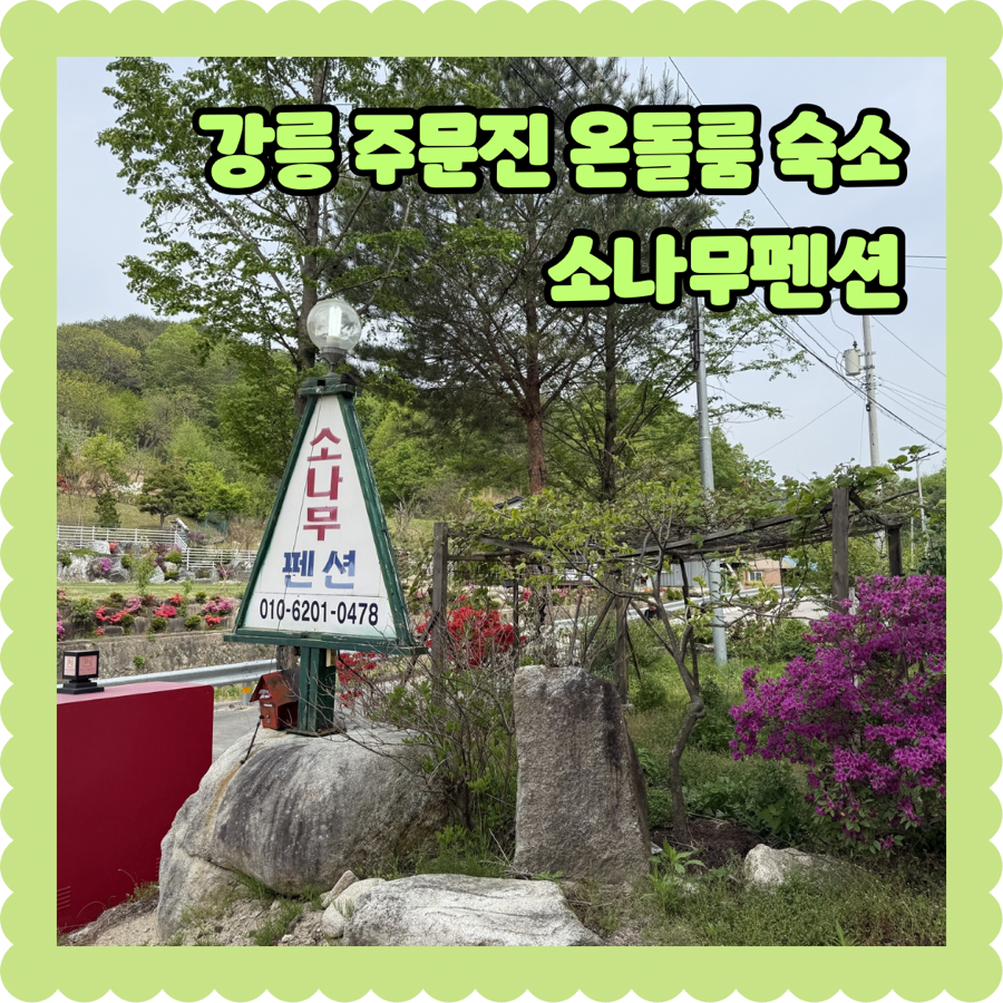 소나무펜션 사진 1