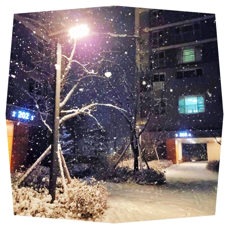 아침 3분 헤드앤숄더 쿨샴푸로 상쾌함 유지법