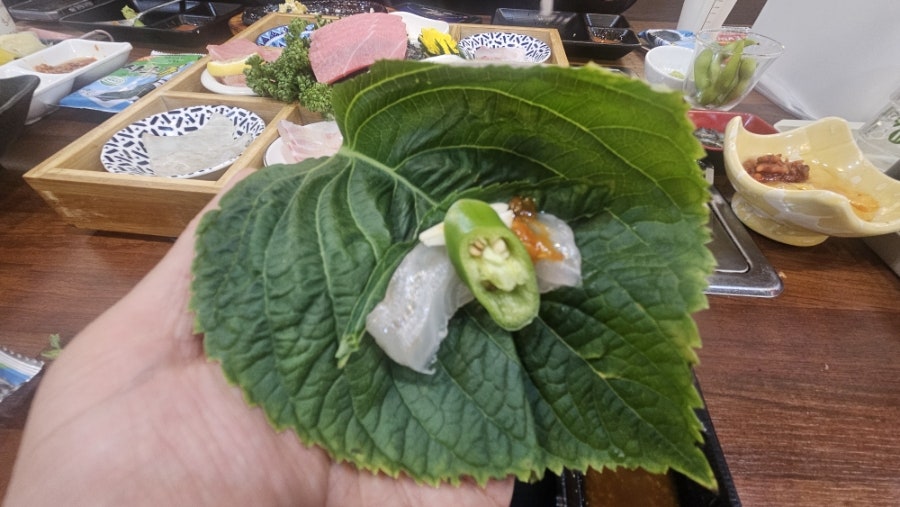 회뜰날 사진 2