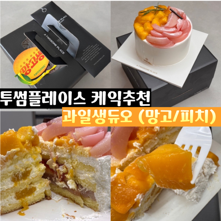  투썸플레이스 케익 추천 신메뉴 아일릿 원희 망고생 / 피치생을 한번에! 생과일듀오 (망고/피치) 가격 맛후기 홀케익 예약법