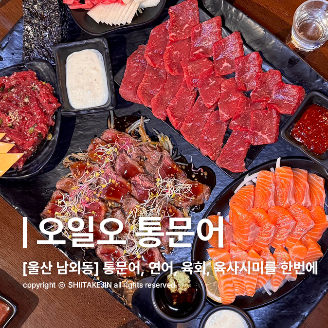 오일오통문어 사진 1