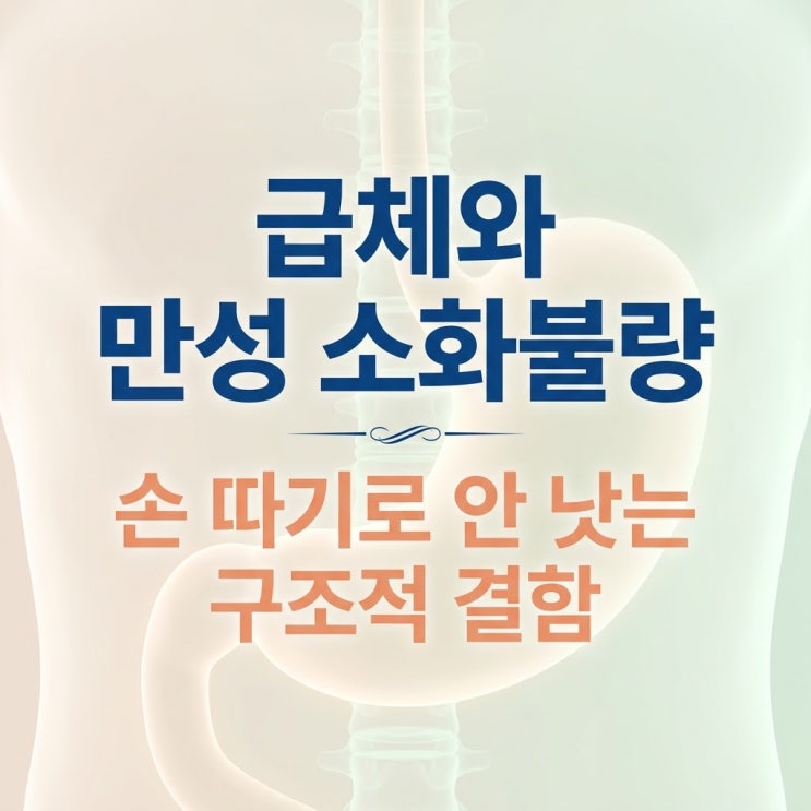  만성 소화불량 원인, 급체 손따기 훼스탈 한계와 등통증 흉추 추나 치료