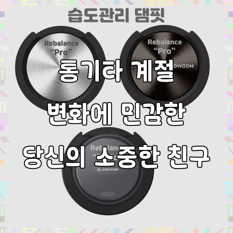 기타를 사랑하는 당신을 위한 현명한 선택, 통기타 습도관리 댐핏 사계절 기타 관리 리밸런....