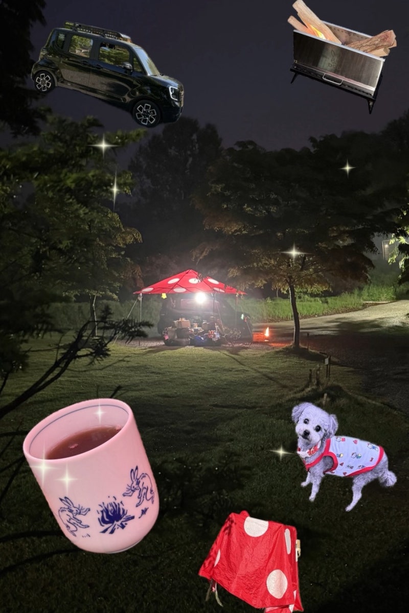 애견동반 대부도 고래숲 캠핑장 1박2일 D5사이트 (레이차박,우중캠핑)