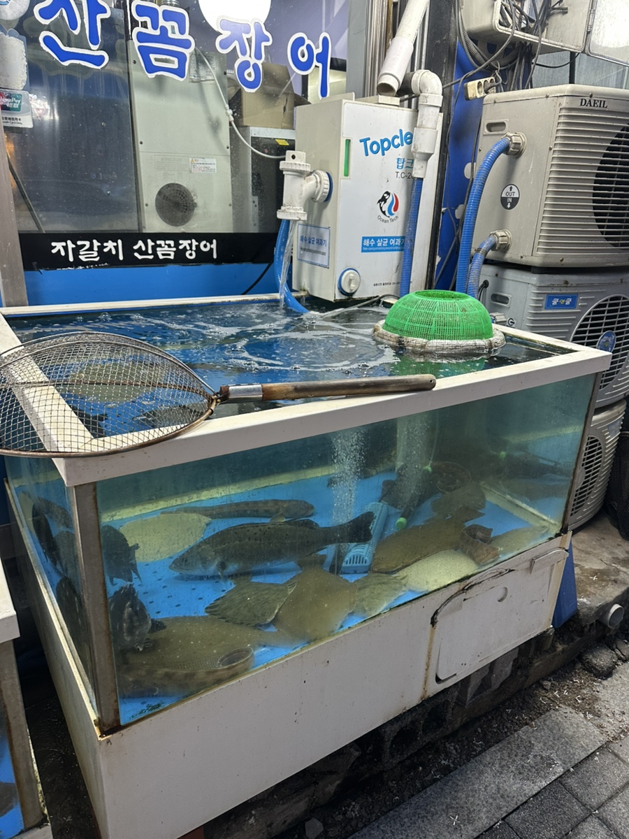 바다향기 사진 3