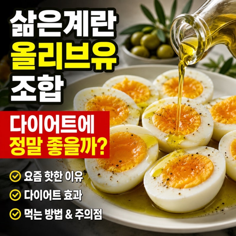 천연위고비 삶은계란 올리브유 식단 위고비 레시피 다이어트 성공 이유