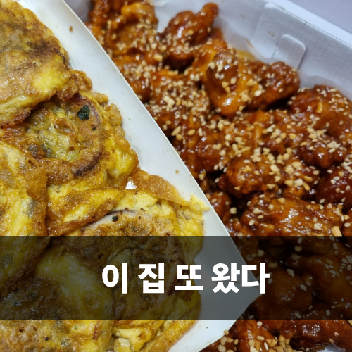  속초 맛집 오징어순대 정이네 중앙시장 재방문 포장 후기