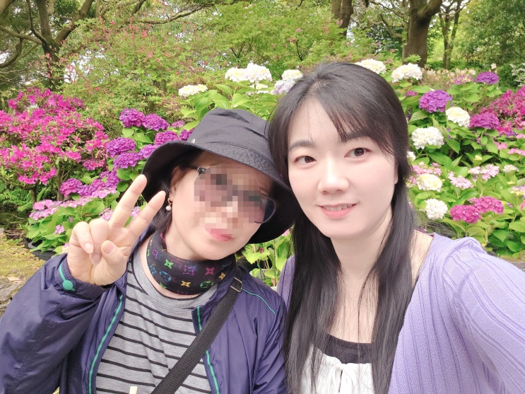  환갑여행으로 제주 카멜리아힐 갔다가 엄마가 눈물 흘린 이유
