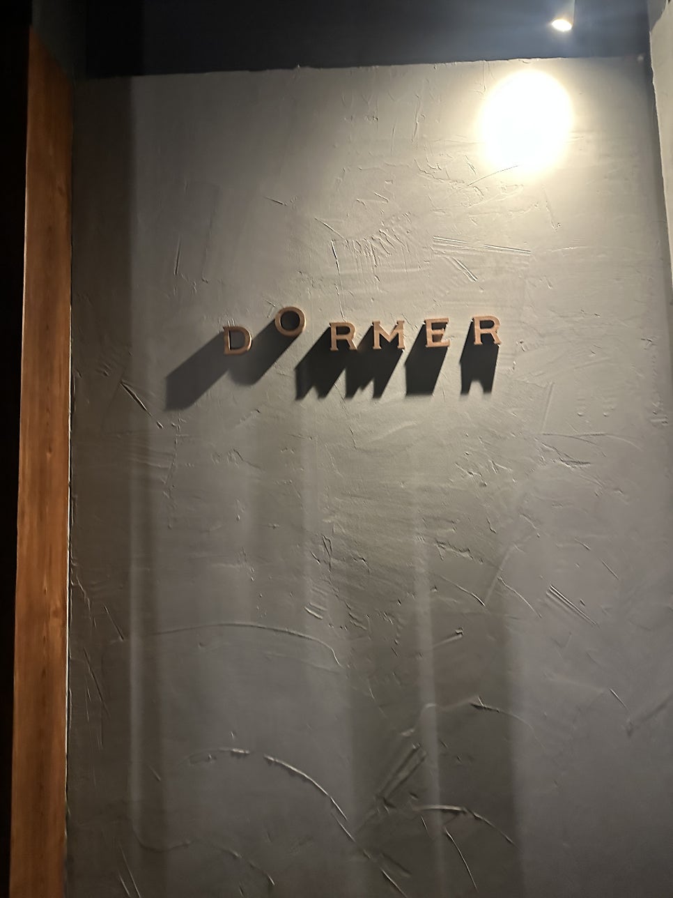 도머 사진 2