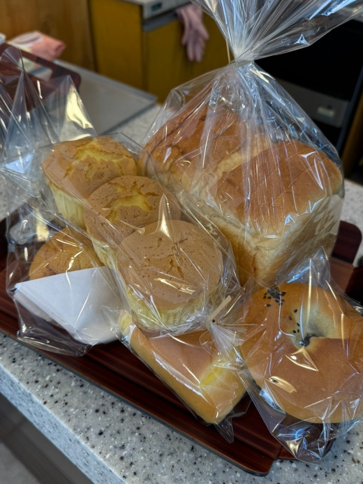 파주 문산 빵집 당당제빵소 추천!