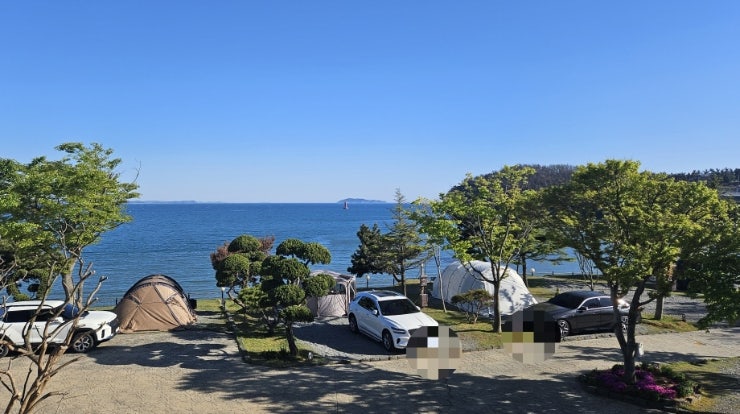 Taean Camping Dream Campground: Review of the Best Ocean View Sites and Amenities