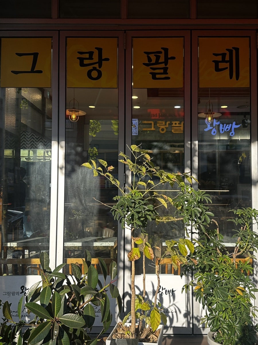 그랑팔레 사진 1