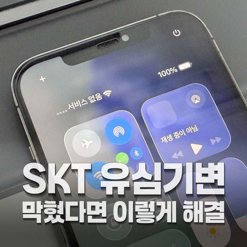 SKT 유심 인식 안됨 해결방법 총정리 비정상 유심기변 제한 후기