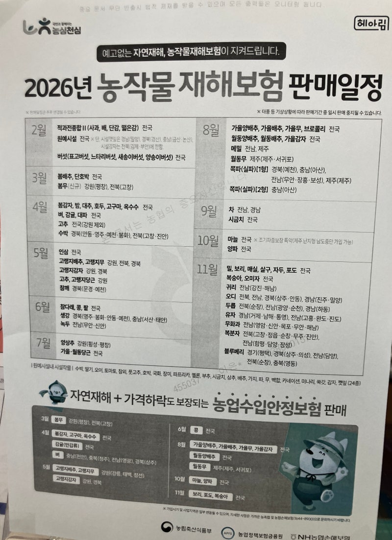 2026 봄감자 농작물 재해보험 가입 후기｜가입 방법·보험료·준비서류 정리