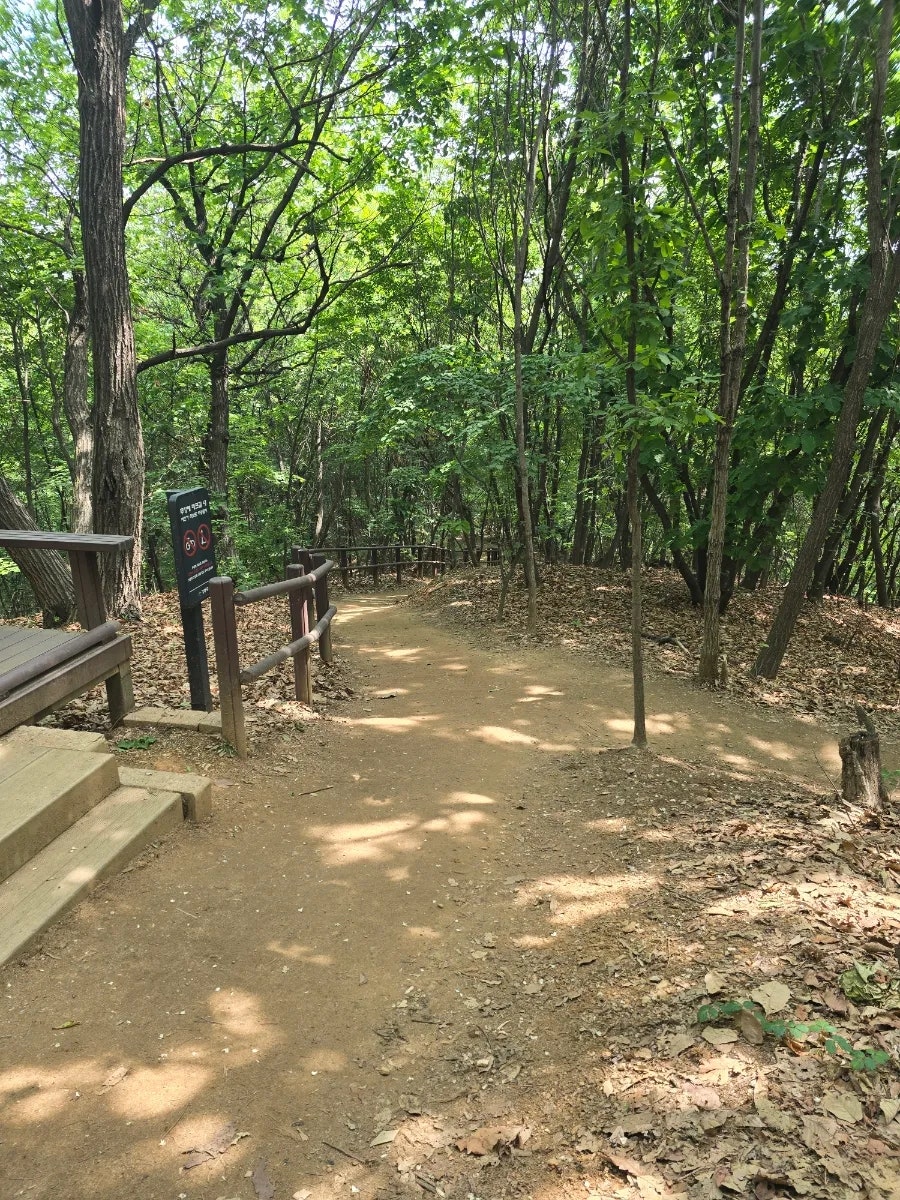 풍경채 사진 5