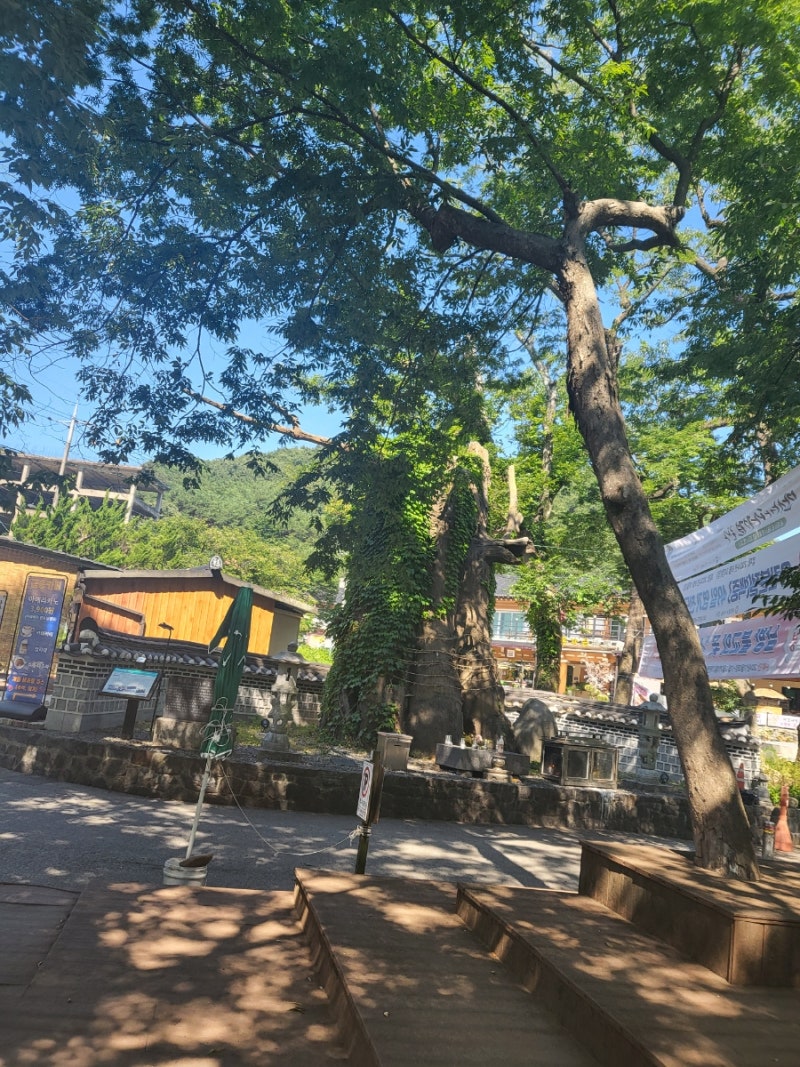 배신당하는꿈 연인에게 배신당하는꿈 친구에게배신당하는꿈 구설시비부적 관재부적 잘내리....