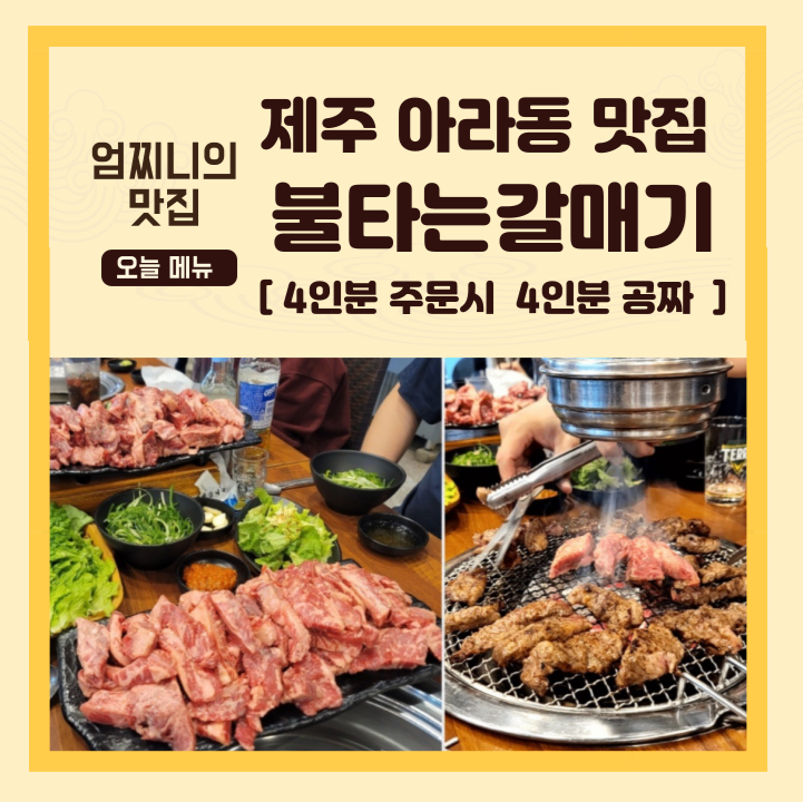 불타는갈매기 아라점 사진 1