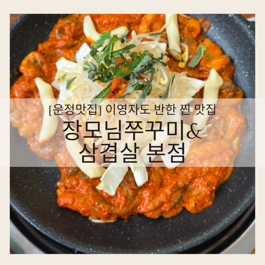 장모님쭈꾸미&삼겹살 사진 1