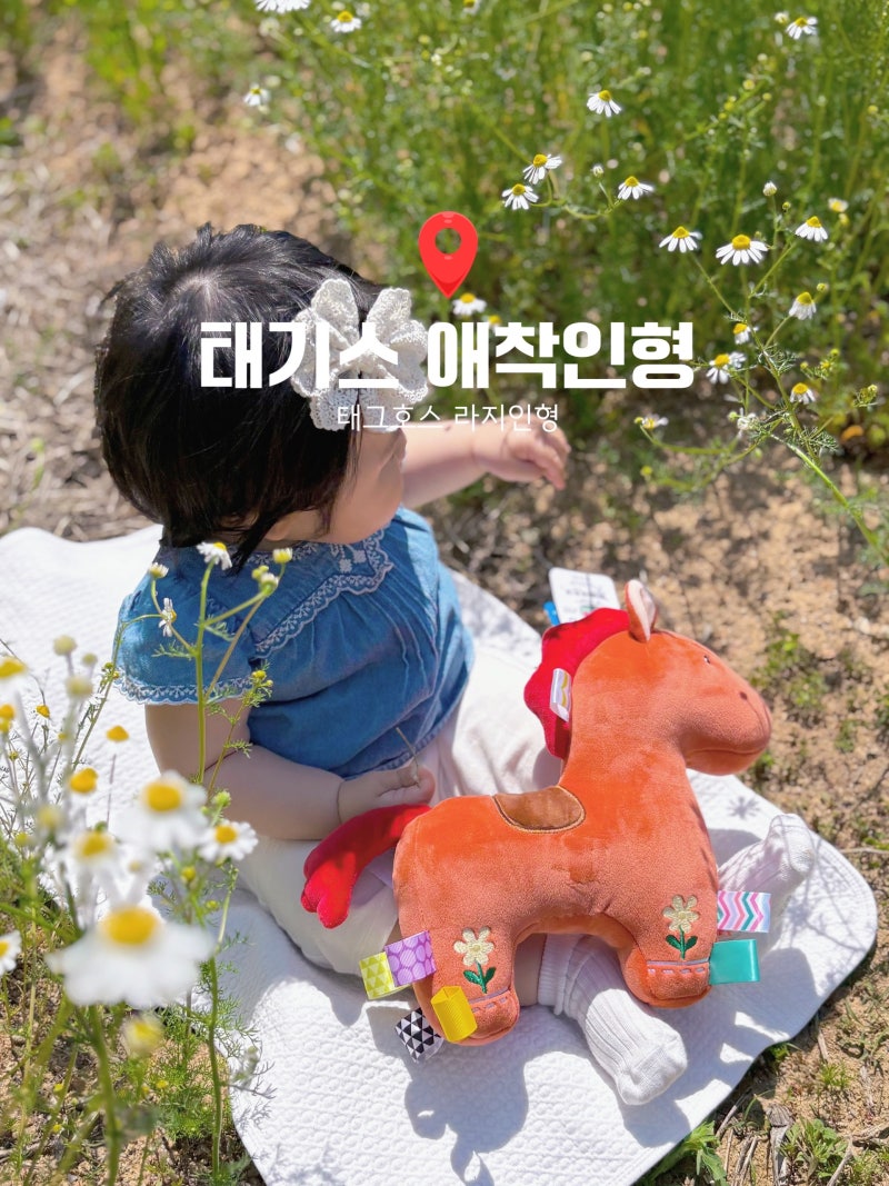 태기스 애착인형 태그호스 진저라지 말띠인형