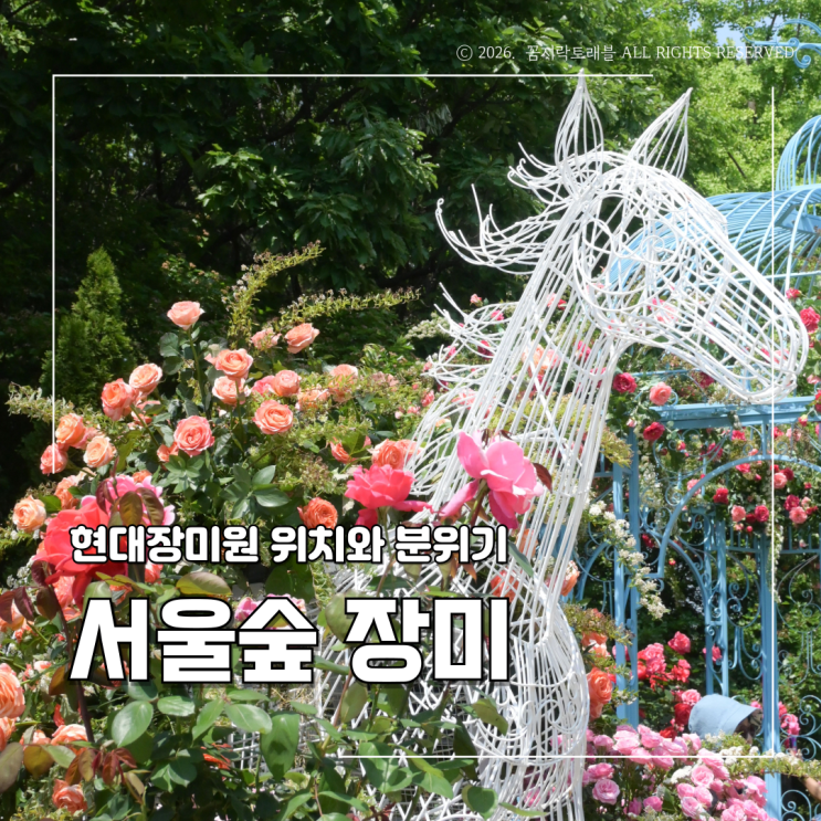  서울숲 서울국제정원박람회 장미원 갔다가 못 지나친 정원사업전 후기