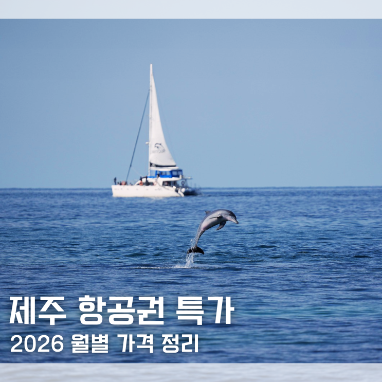  "다들 제주도 가는 이유가 있네요?" 2026년 제주 항공권 땡처리 특가 가격 월별 정리