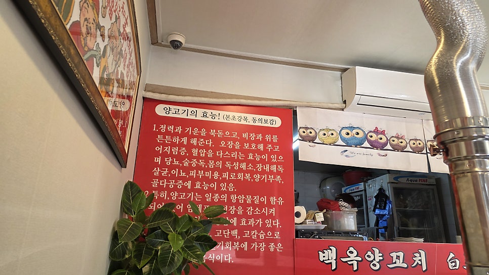 백옥양꼬치 사진 3