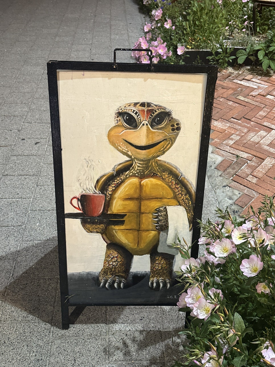 거북이둥지 사진 4