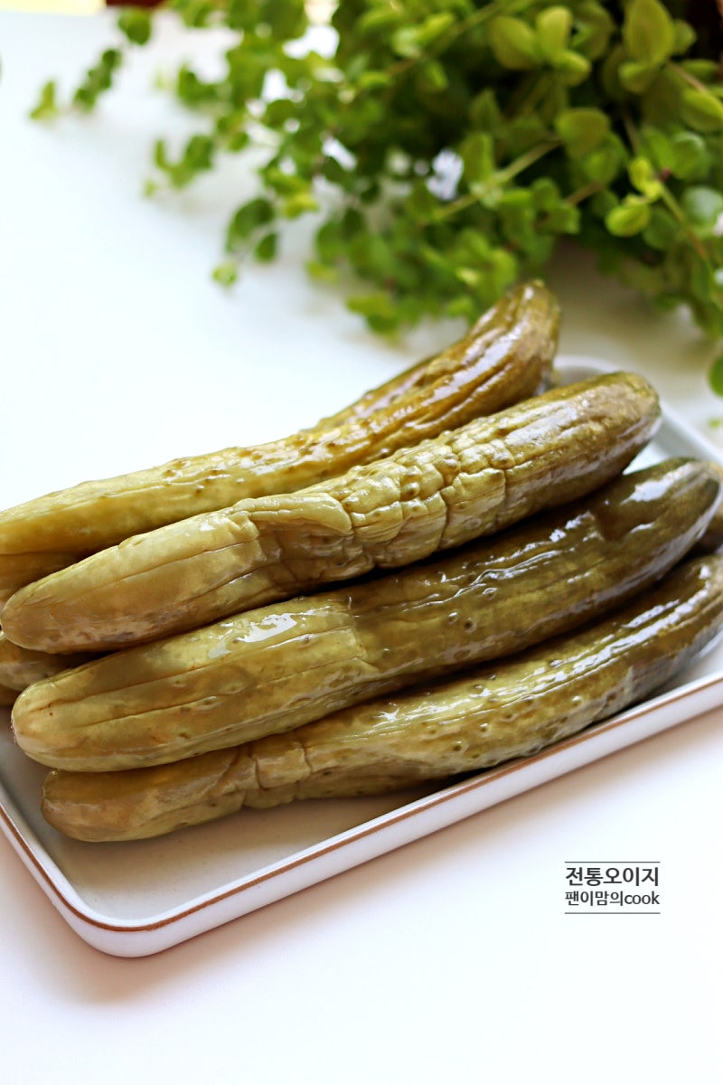 전통 오이지 담그기 20개 소금 오이지 만들기 비율
