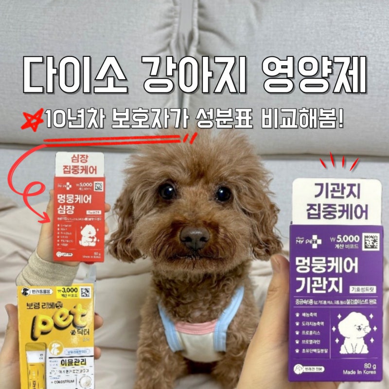 오천원 다이소 강아지 영양제 성분표 뜯어보니