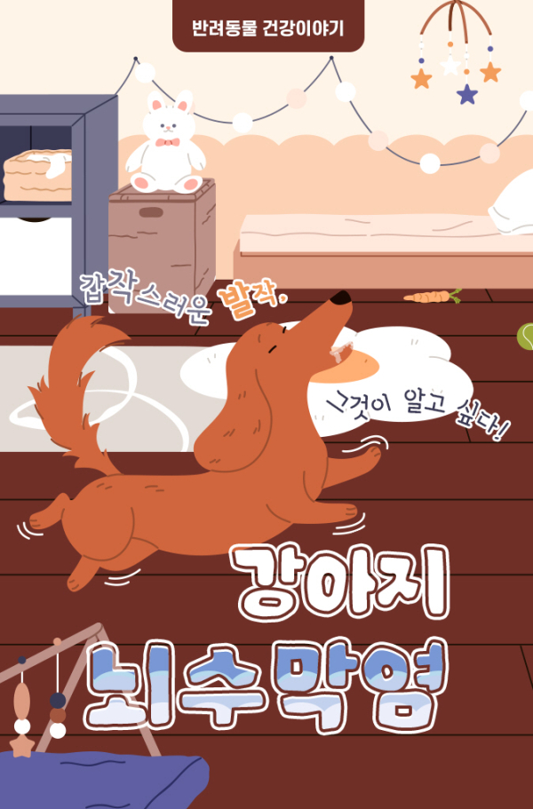 진동세꼬시 사진 4