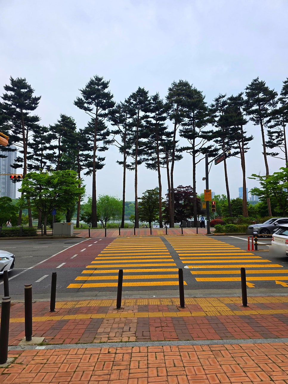 봄설 광교점 사진 1
