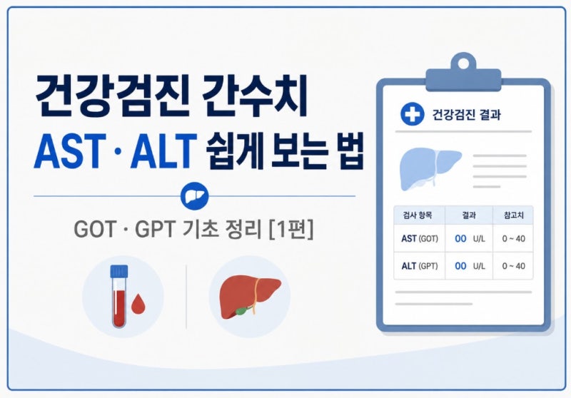 건강검진 간수치 AST ALT 높게 나왔을 때 무슨 의미일까｜임상병리사가 쉽게 알려드립니다