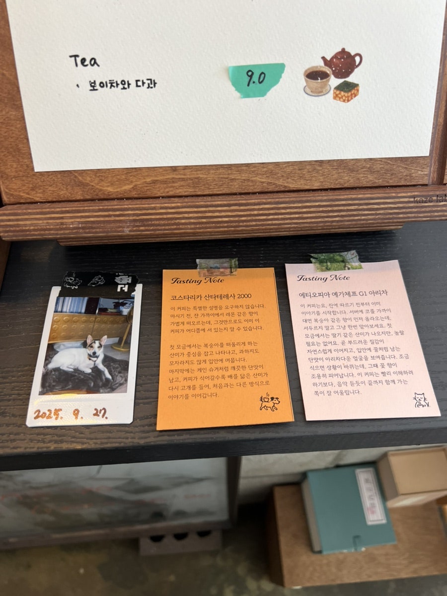 고요룸 사진 3