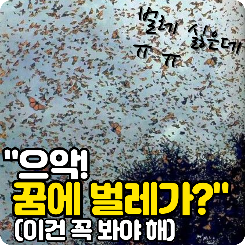 벌레 나오는 꿈 해몽, 상황별 의미와 심리 상태 완벽 분석