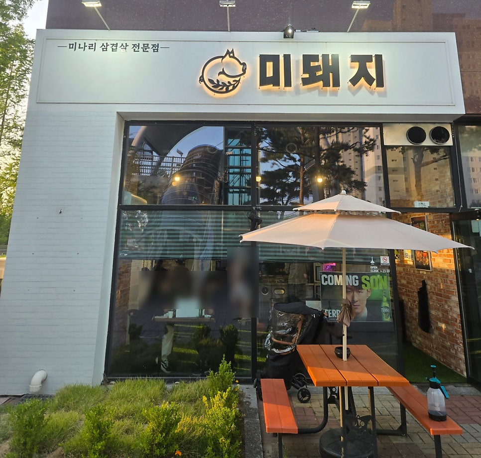 미돼지 사진 1