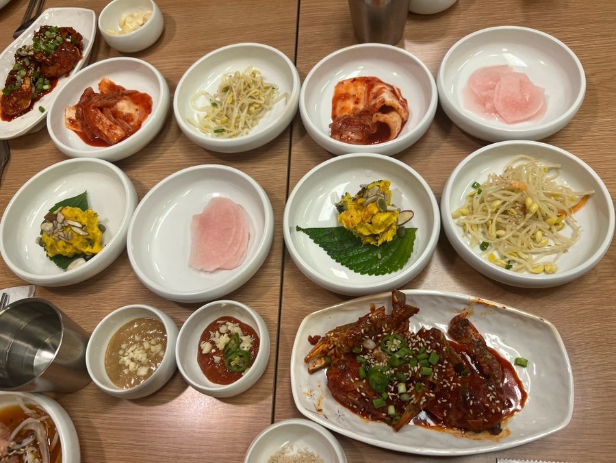 명지장수오리 사진 6
