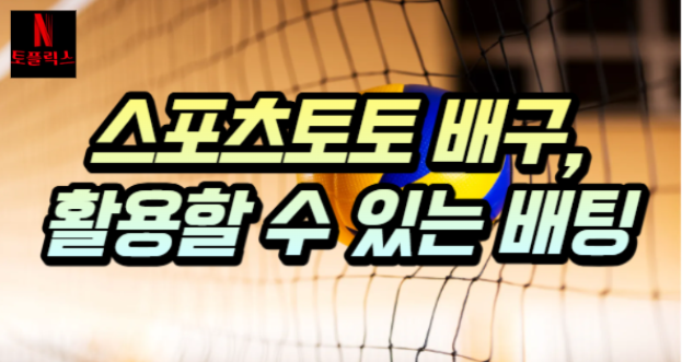  스포츠토토 남자배구에서 활용할 수 있는 배팅 유형들