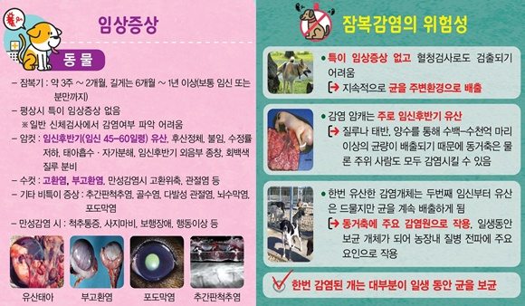 진동세꼬시 사진 1