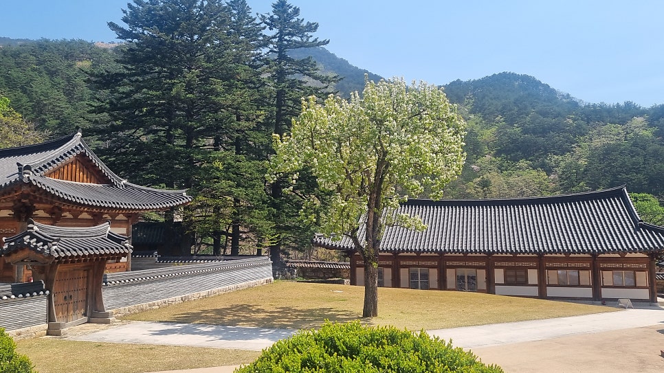 온천뜰 사진 4