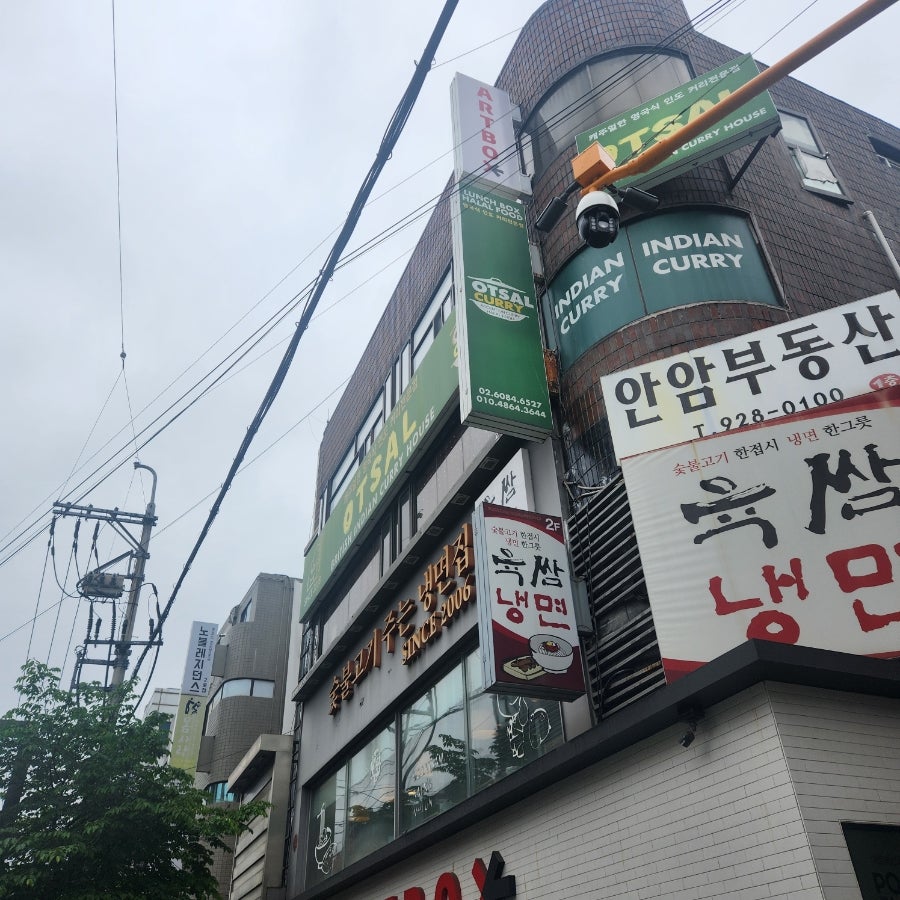 오샬 사진 3
