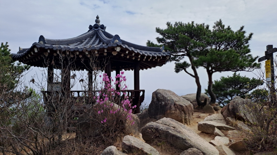 엄청난해장국 사진 5