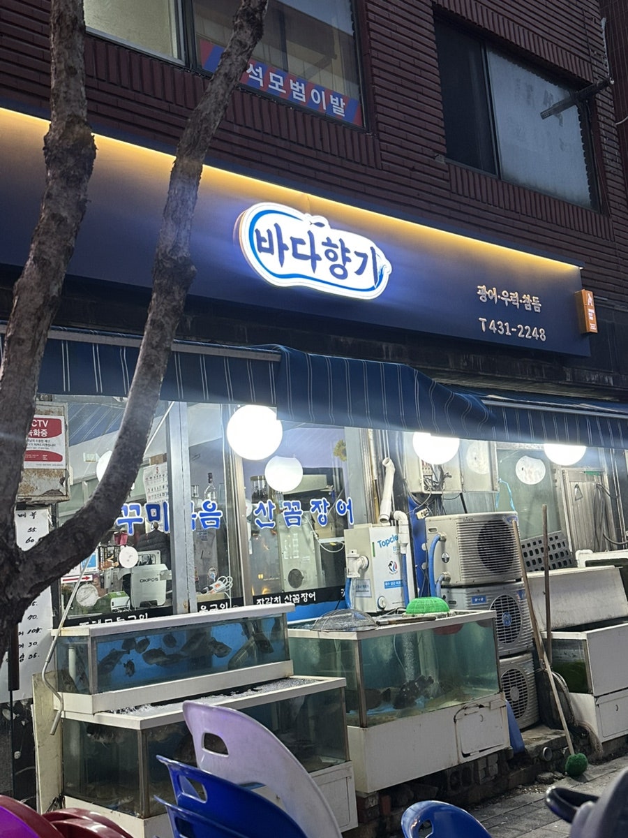 바다향기 사진 1