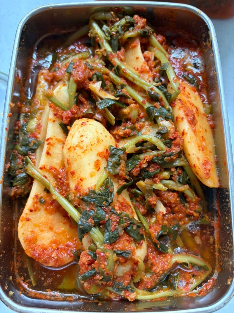 홍진경 더김치 포기김치 총각김치 내돈내산 추천!