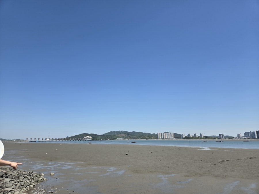 해강횟집 사진 5