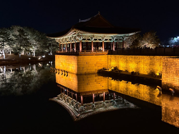 경주 야경 명소 동궁과 월지 안압지 주차 데이트 코스 추천 후기