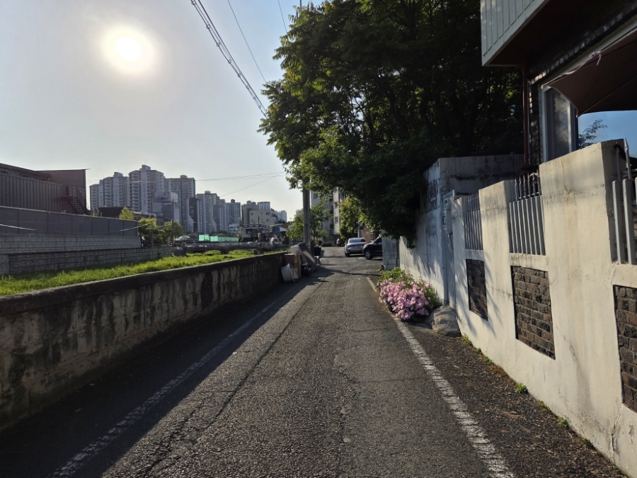 카페케일리 사진 2